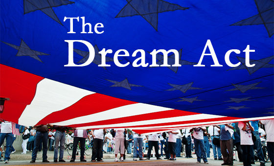 the dream act student essay